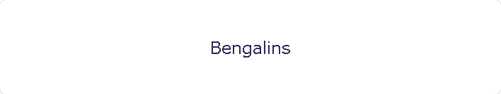 Bengalins